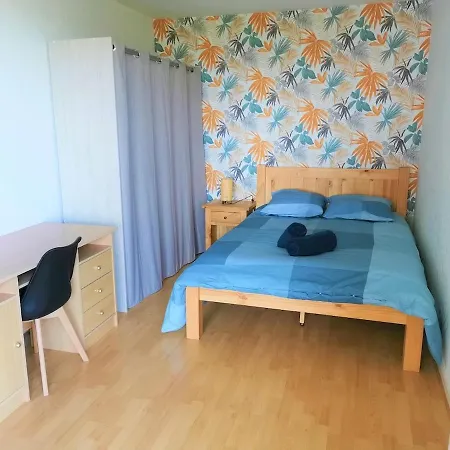 Spacious Bellevue דירה